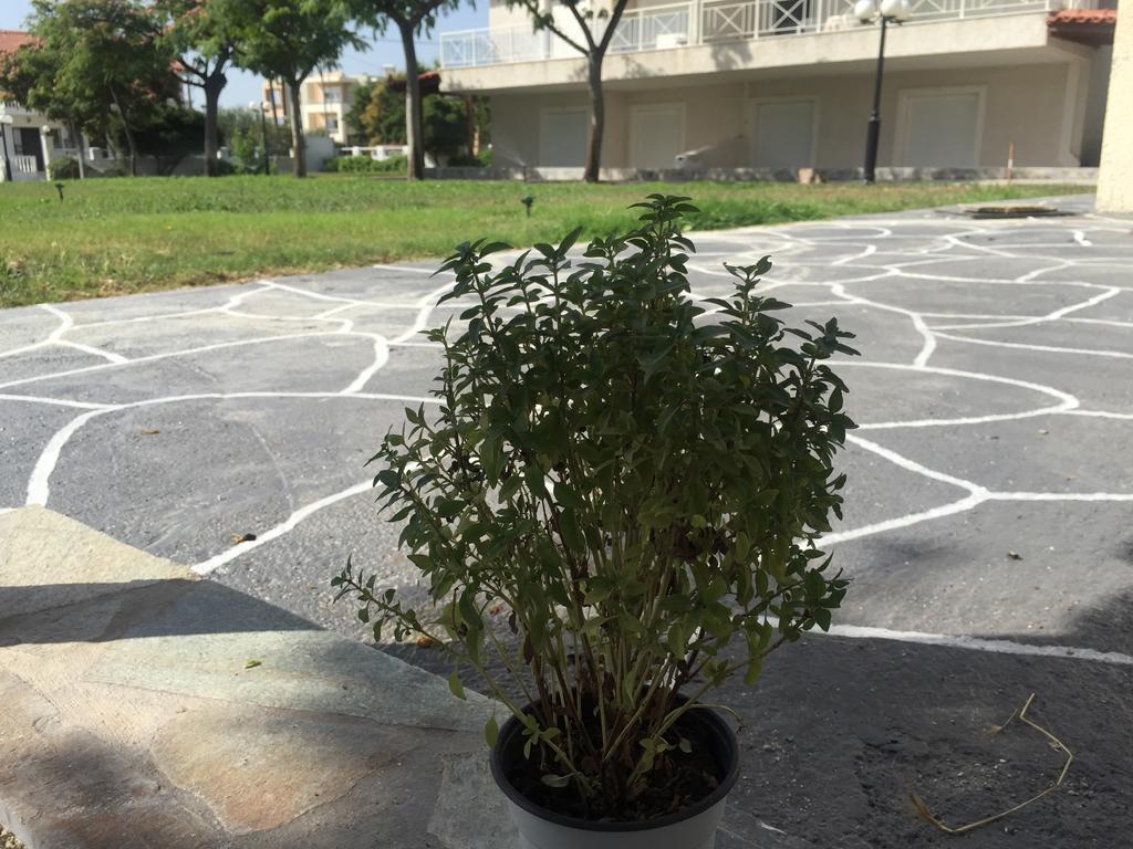 Phoenix Beachside Condos Kokkonion Luaran gambar