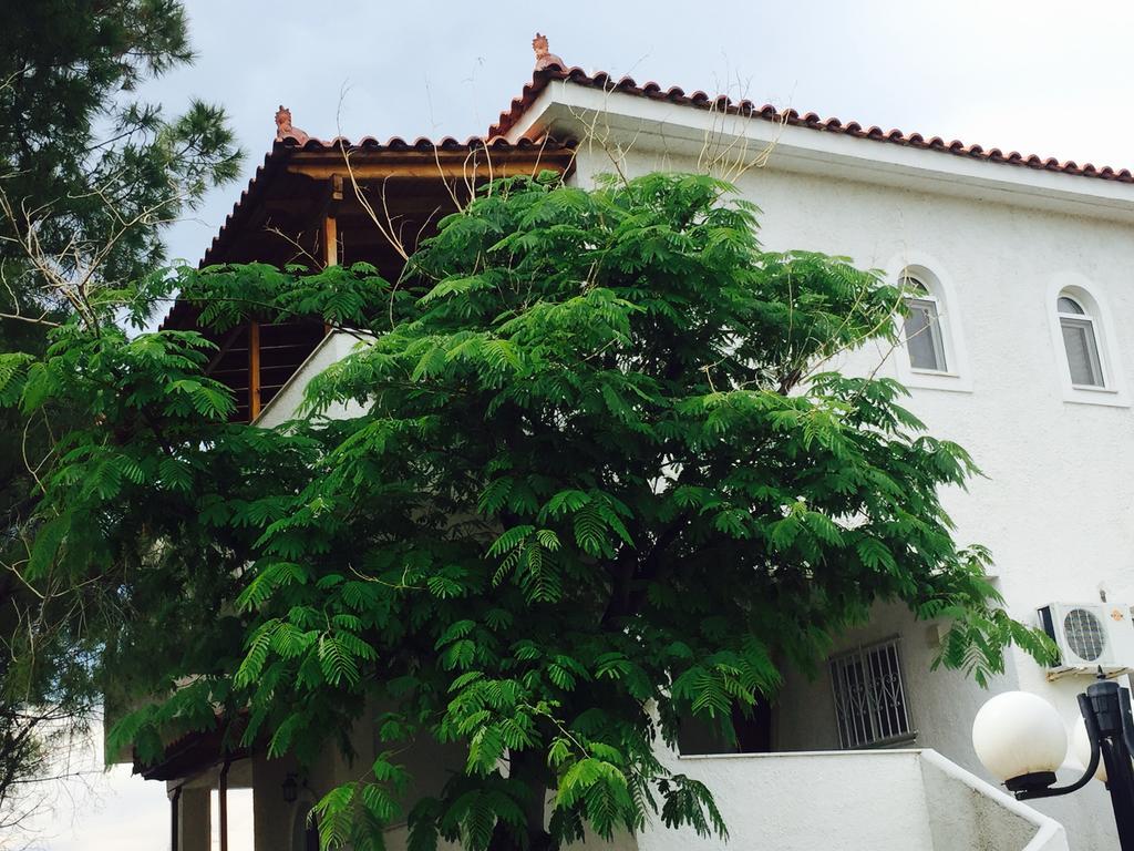 Phoenix Beachside Condos Kokkonion Luaran gambar